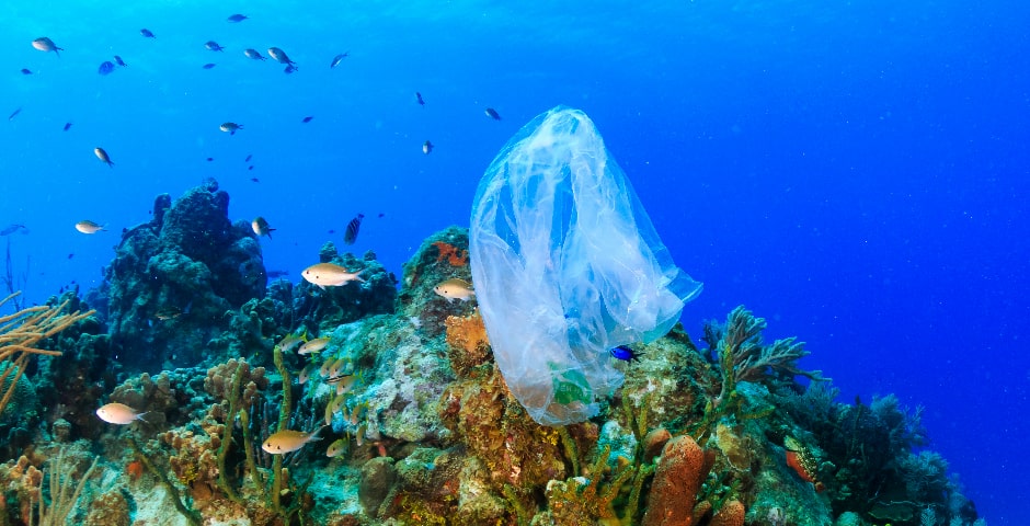 Plàstic als oceans per culpa de la contaminació i de no reciclar