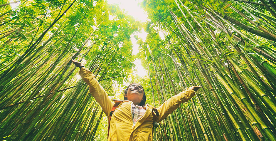Dona a un bosc de bambú, concepte de sostenibilitat