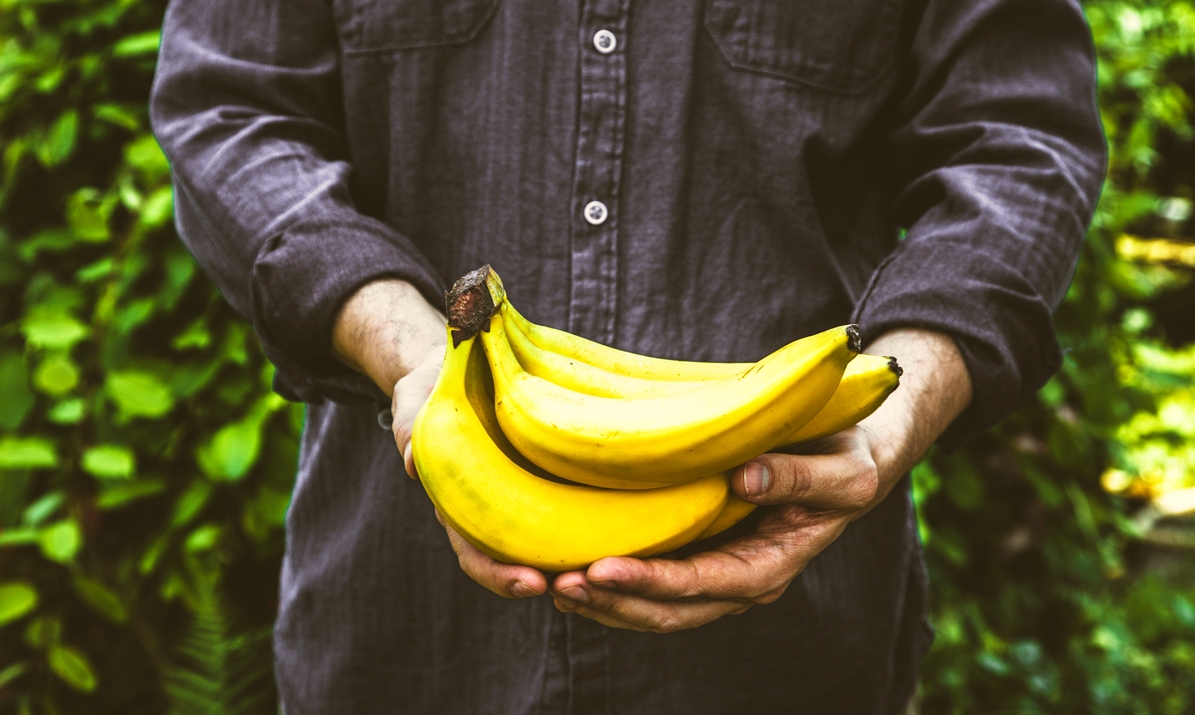 alimentos energéticos