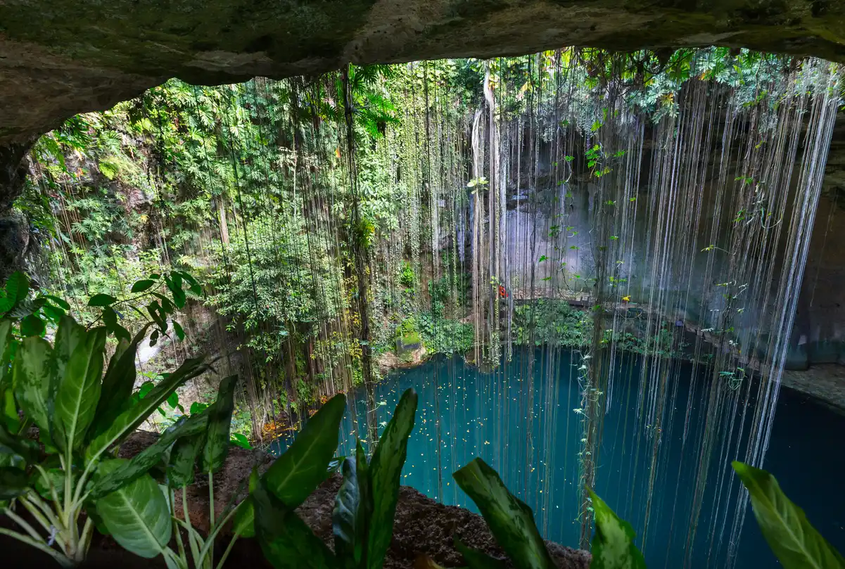 ¿Qué son y cómo se forman las aguas subterráneas?