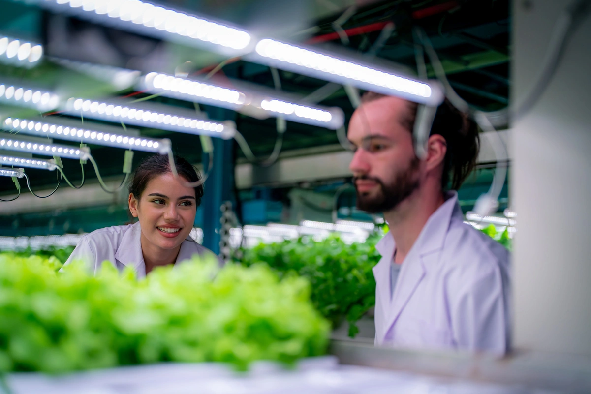 Acerca de la bioeconomía