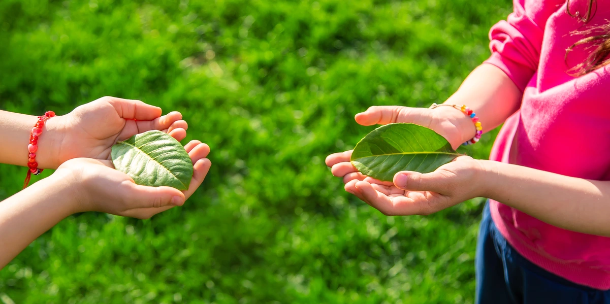 Diferencias entre bio eco y orgánico